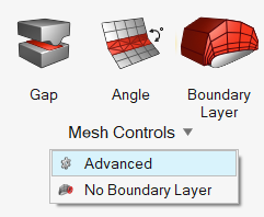 Define Advanced Mesh Settings