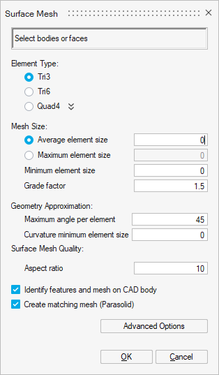 Surface Mesh
